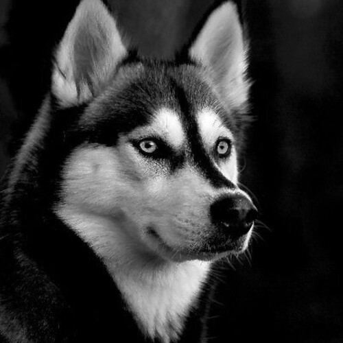 Godson's profile photo