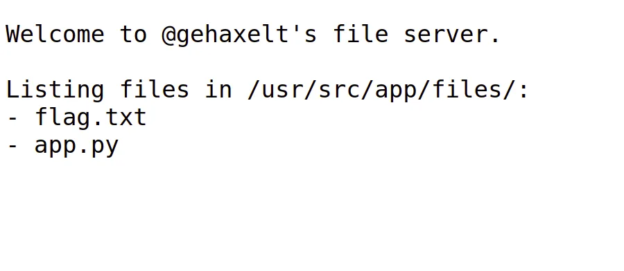 The application's file server responding to a request