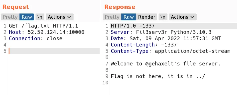 Response showing the flag is not at /flag.txt